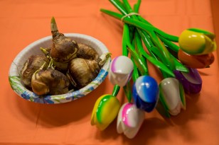 Dutch-American Heritage Day 2008_41